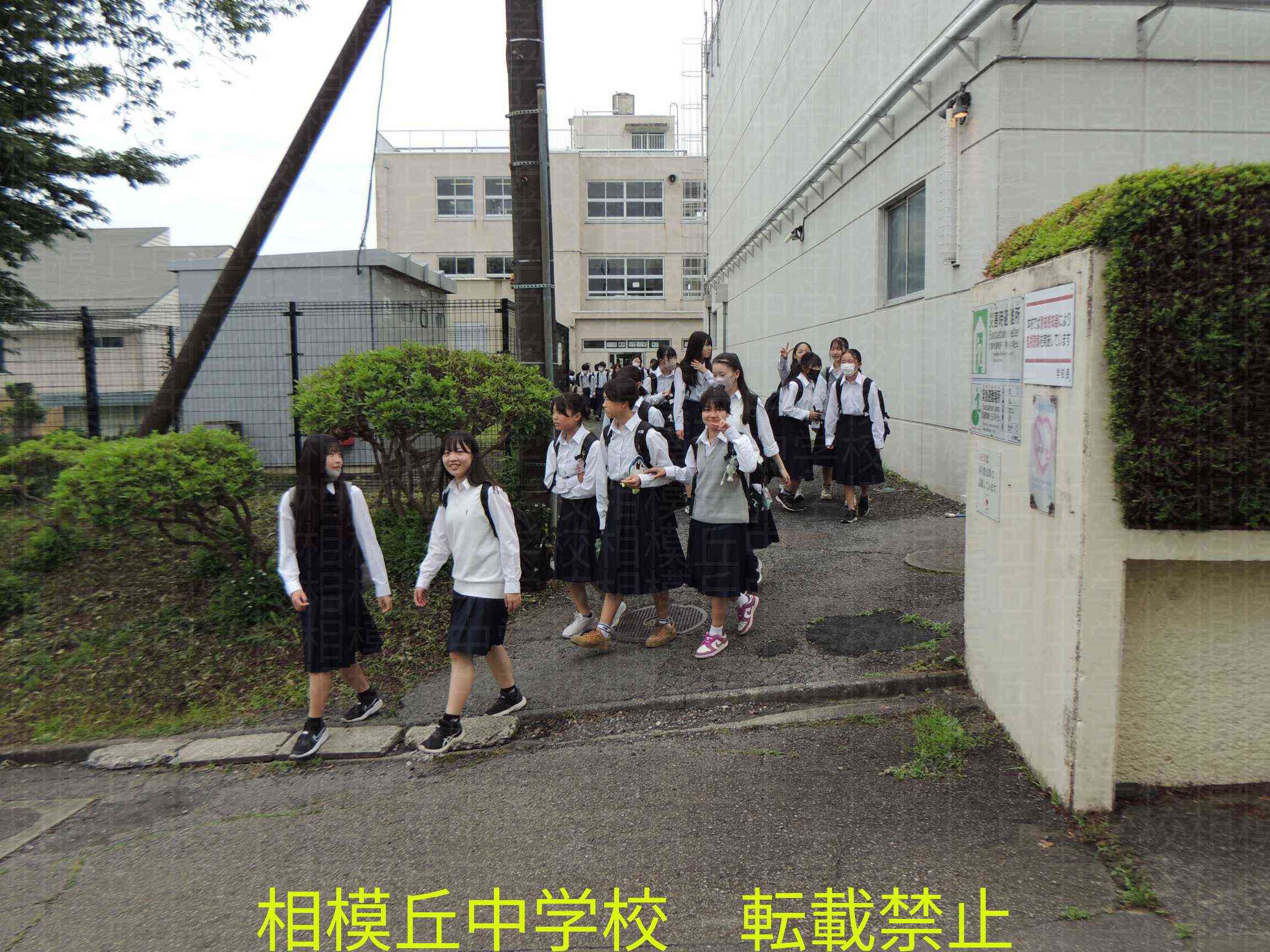 DSCN9846