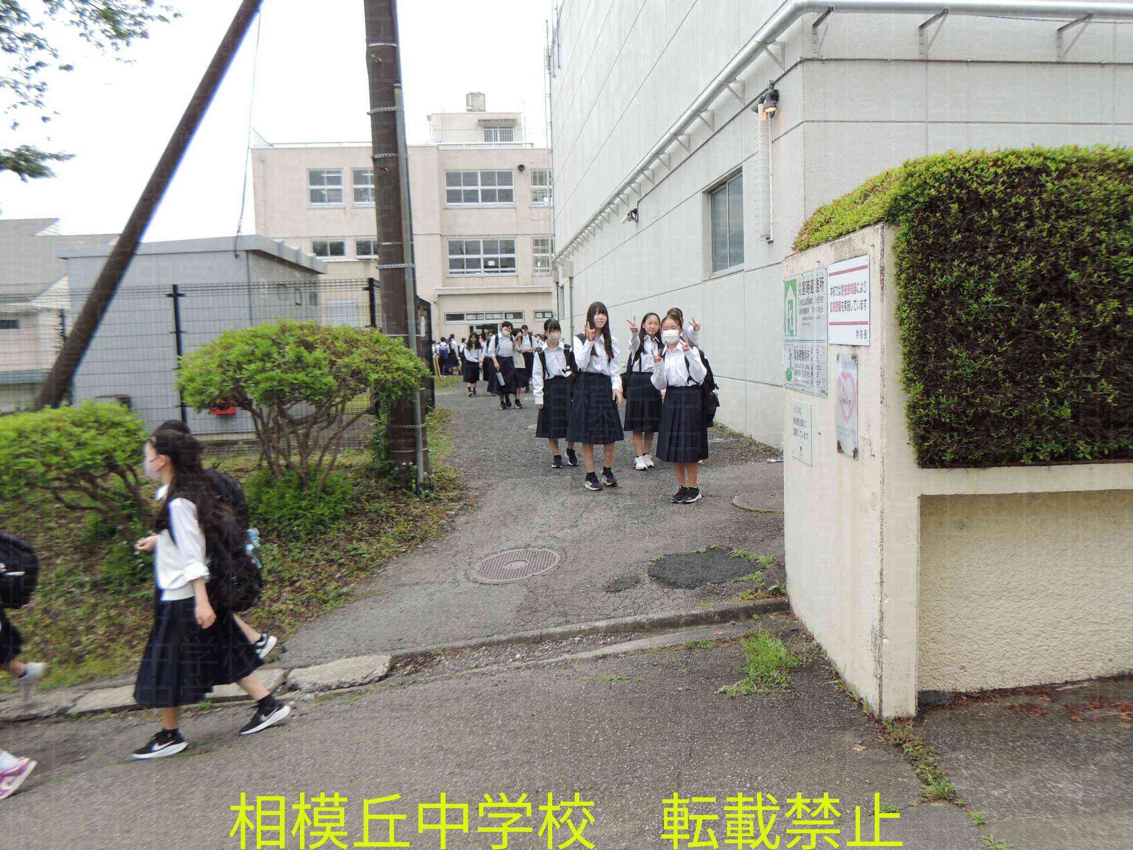 DSCN9847