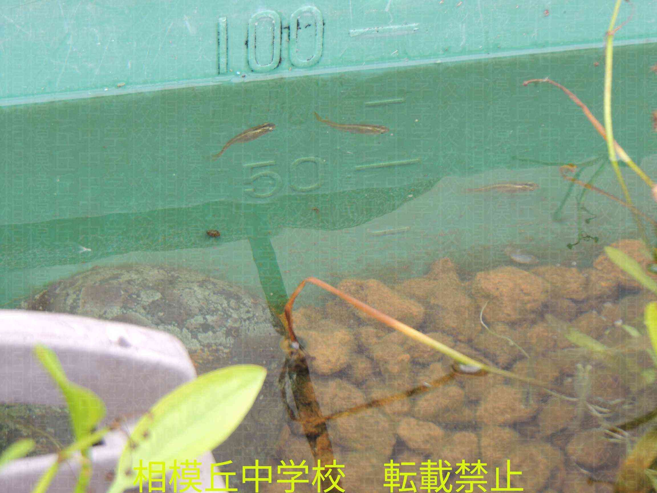 DSCN9871