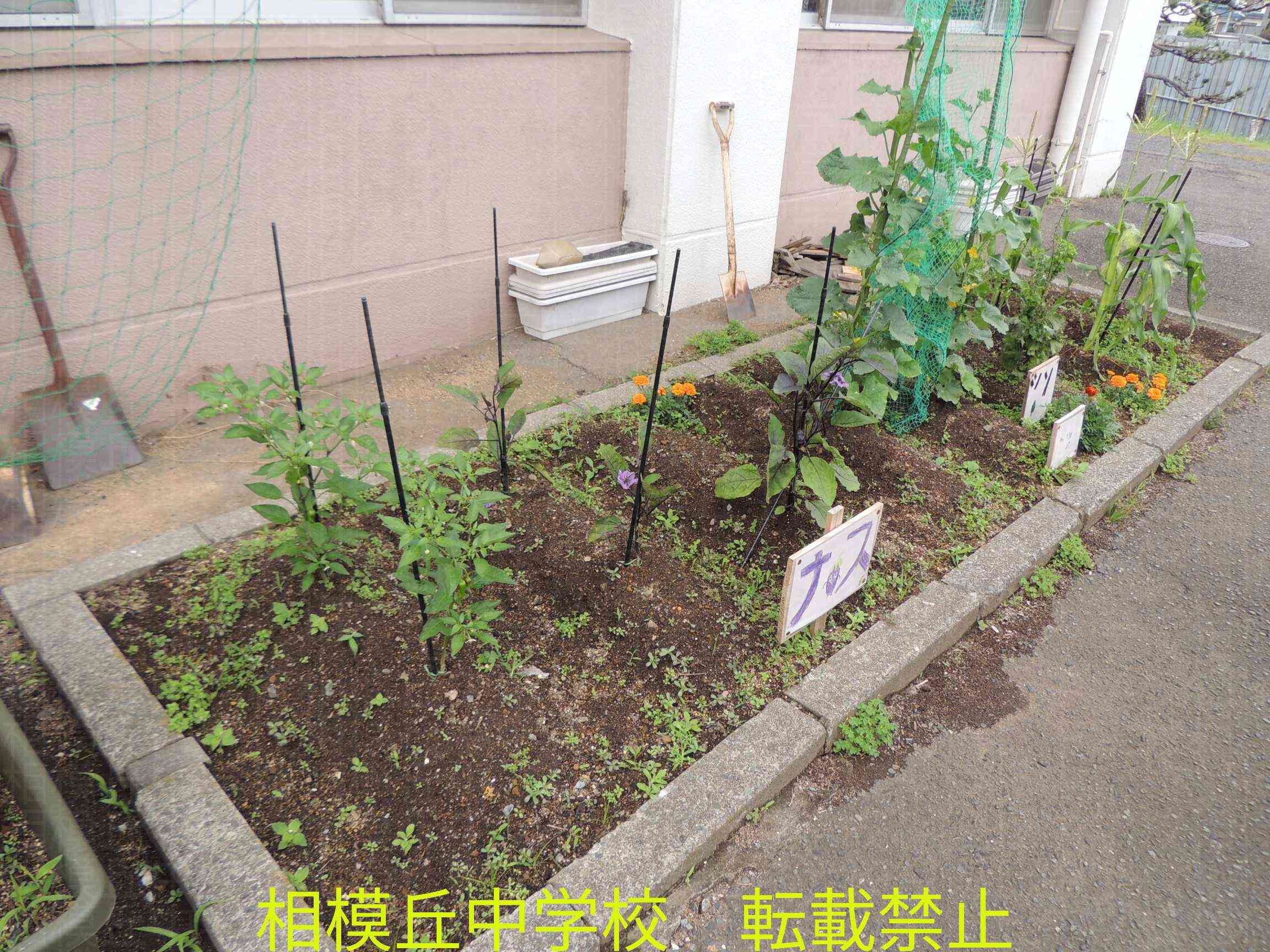 DSCN9874