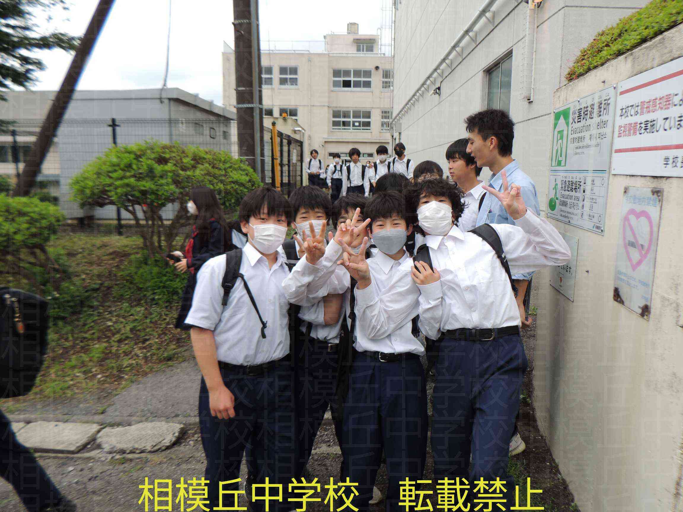 DSCN9929